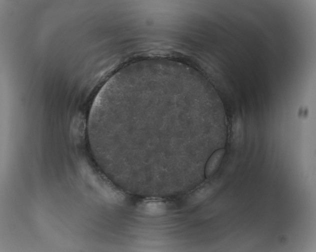 X0000110870228200907161445