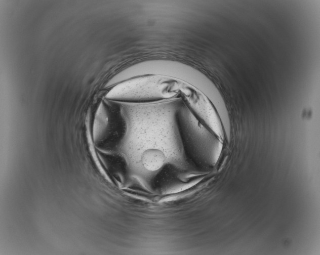 X0000110870229200907161445