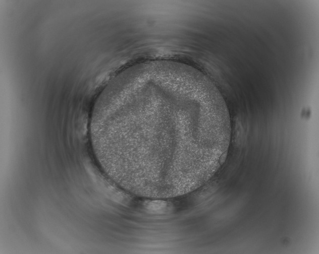 X0000110870230200907161445