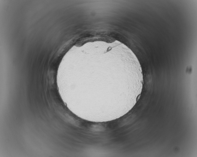 X0000110870232200907161445