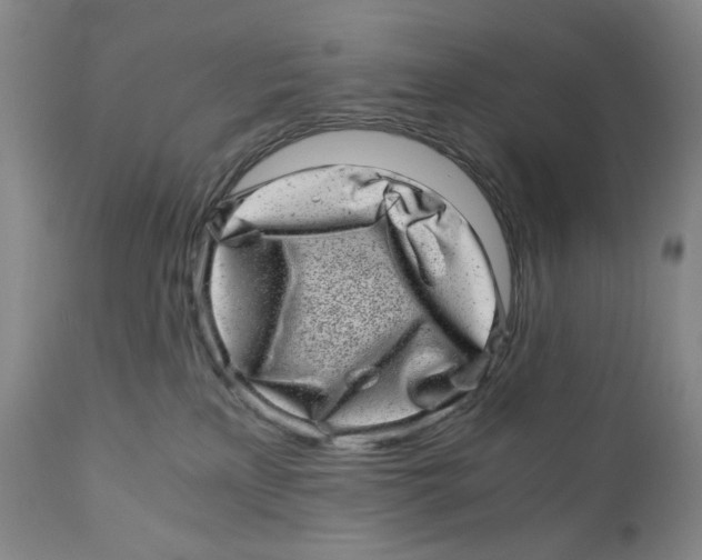 X0000110870233200907161445