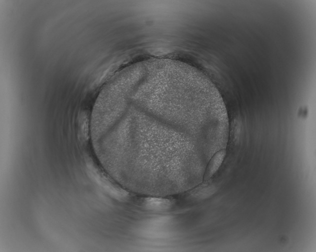 X0000110870234200907161445