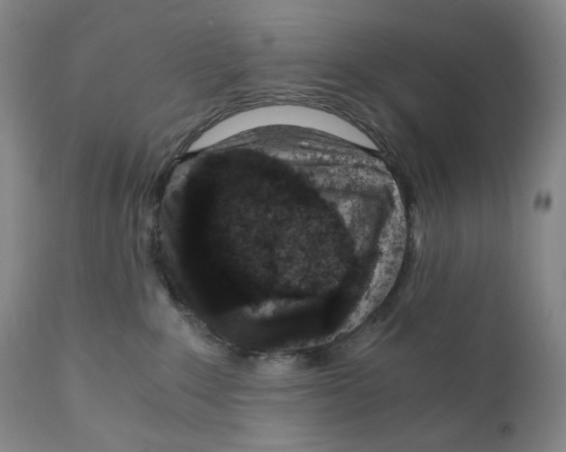 X0000110870235200907161445