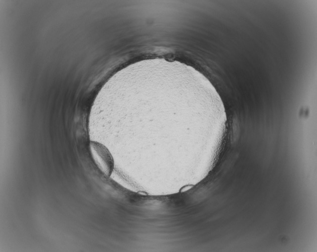 X0000110870236200907161445