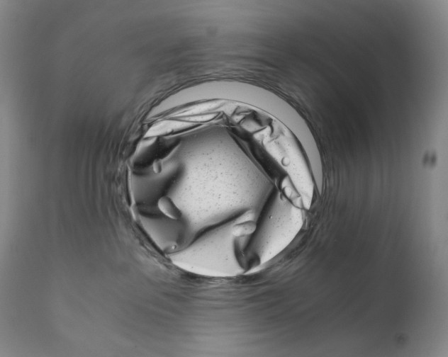 X0000110870237200907161445