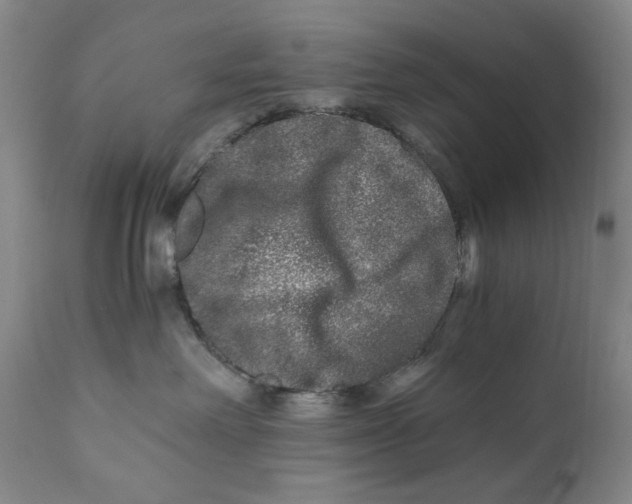 X0000110870238200907161445