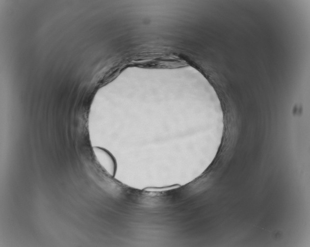 X0000110870240200907161445