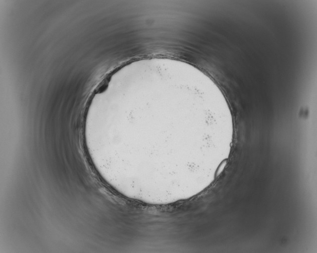 X0000110870241200907161445