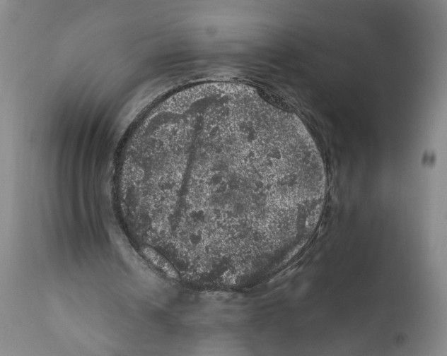 X0000110870242200907161445