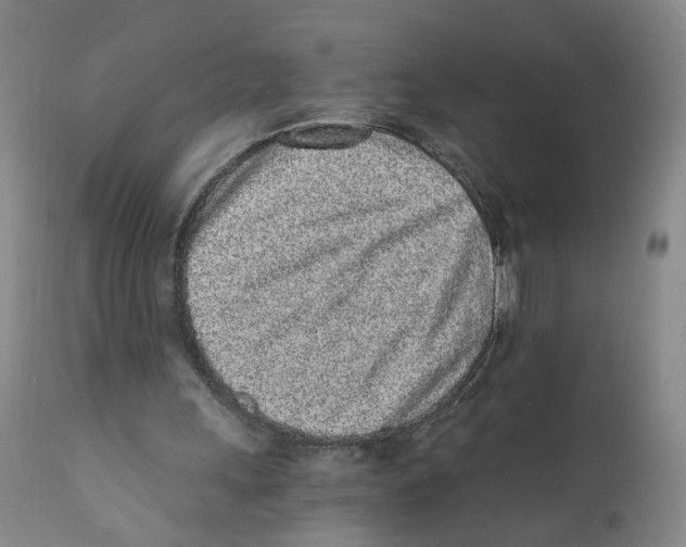 X0000110870243200907161445