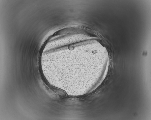 X0000110870244200907161445