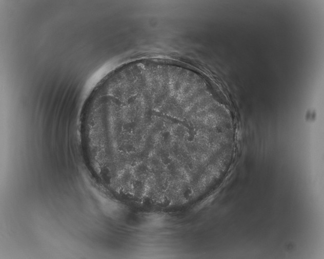 X0000110870246200907161445