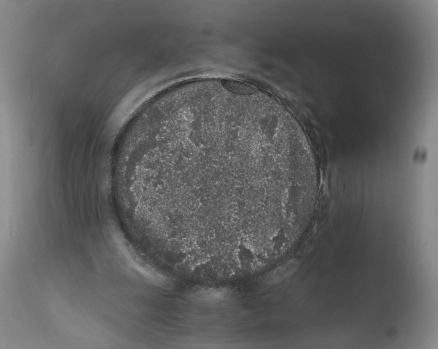 X0000110870247200907161445