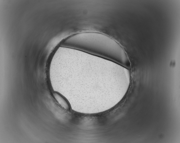 X0000110870248200907161445