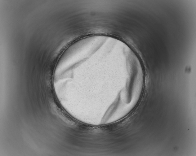 X0000110870249200907161445