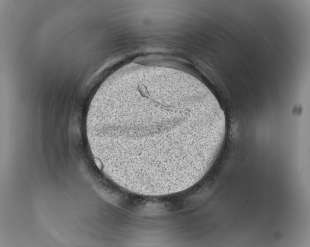 X0000110870256200907161445