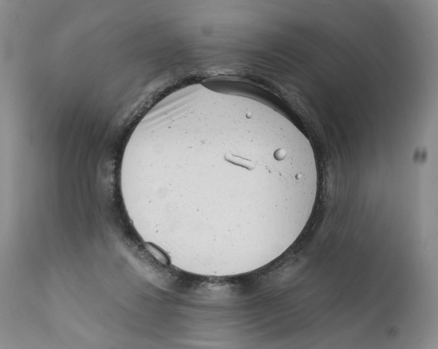 X0000110870260200907161445