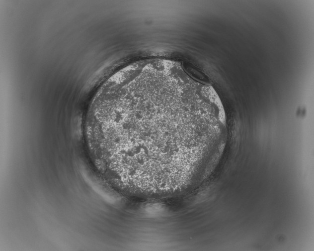 X0000110870262200907161445