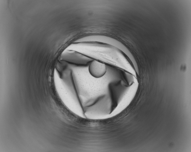 X0000110870264200907161445