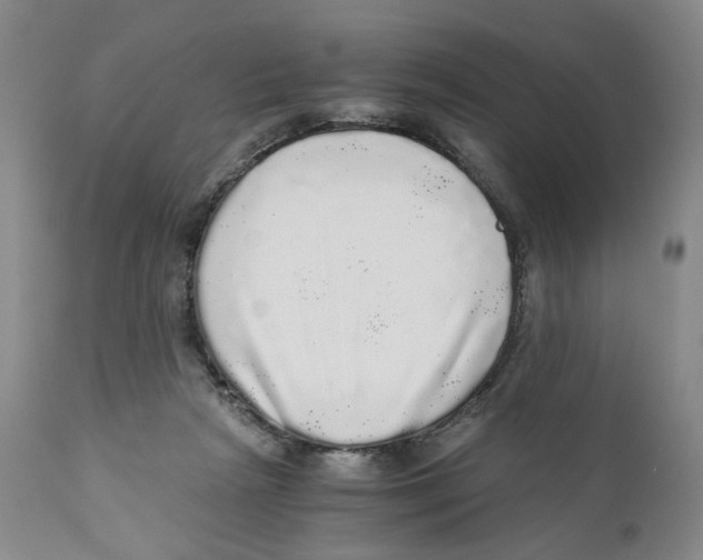 X0000110870265200907161445