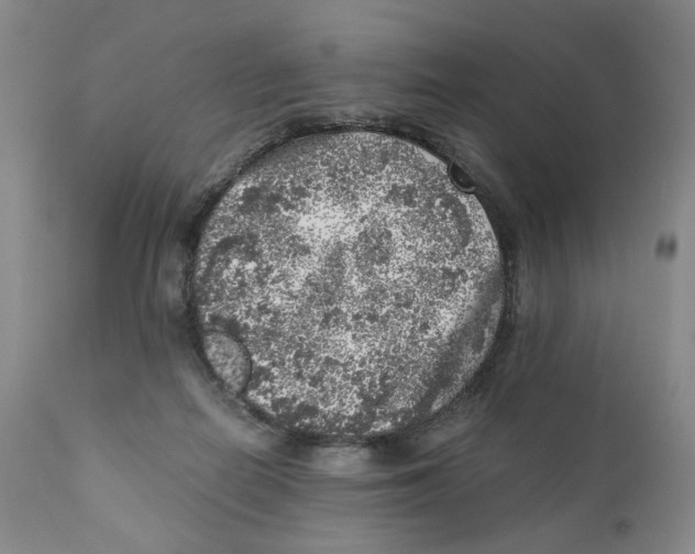 X0000110870266200907161445