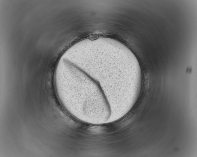 X0000110870269200907161445