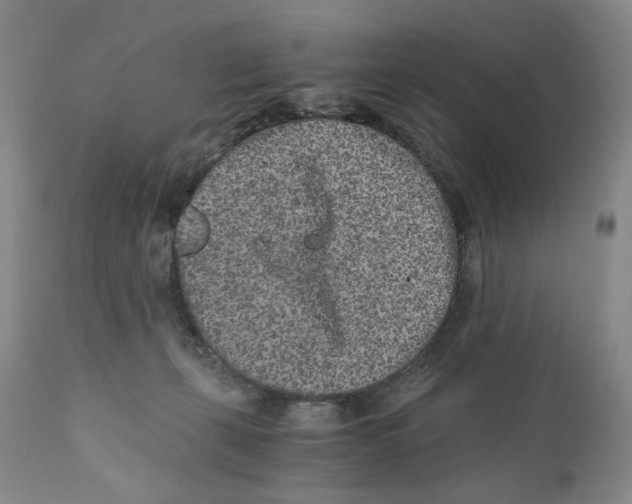 X0000110870271200907161445