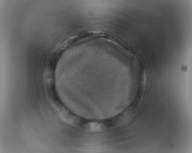 X0000110870272200907161445