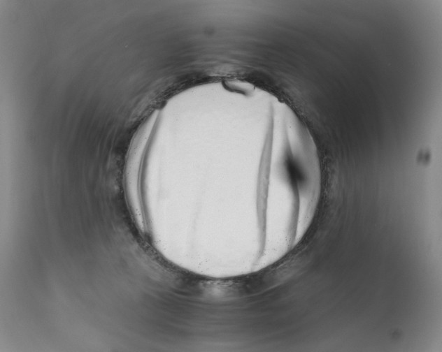 X0000110870273200907161445