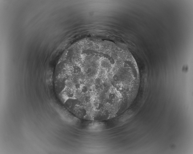 X0000110870274200907161445