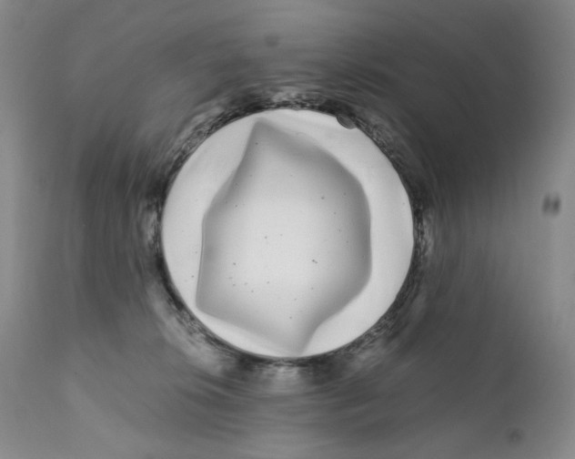 X0000110870276200907161445