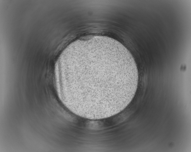 X0000110870277200907161445