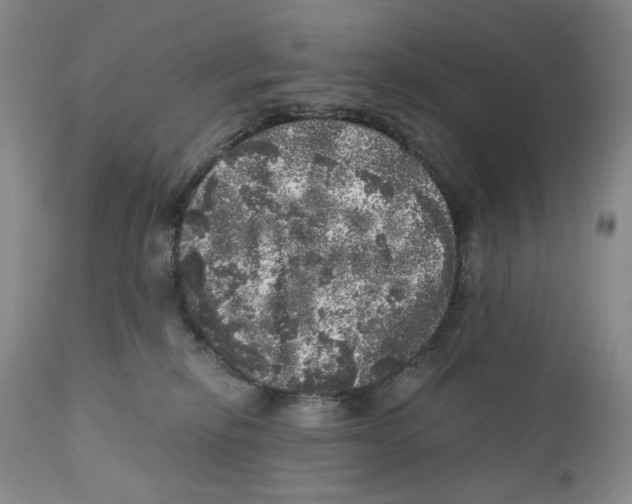 X0000110870278200907161445