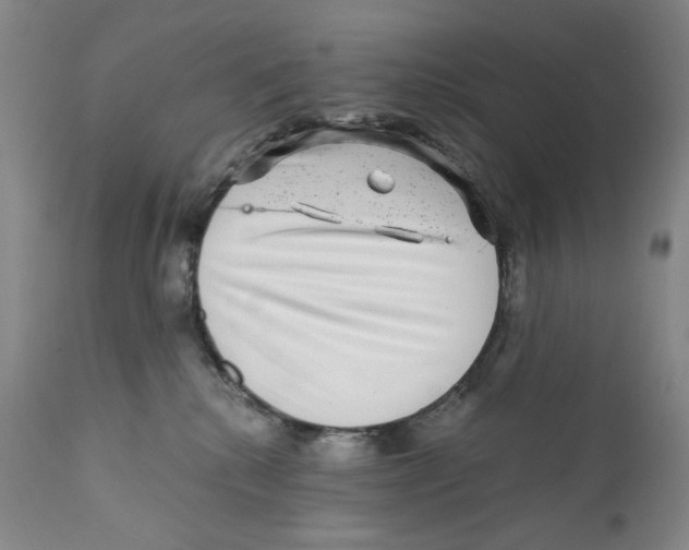 X0000110870280200907161445