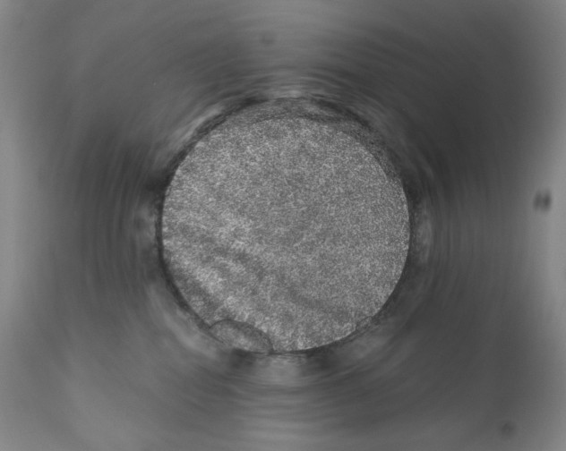 X0000110870282200907161445