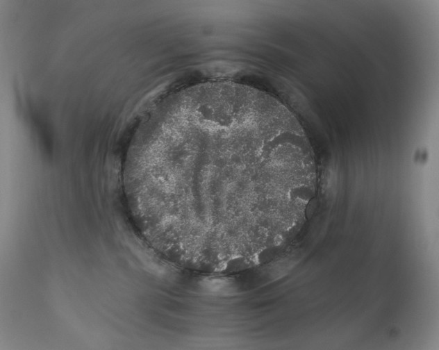 X0000110870283200907161445