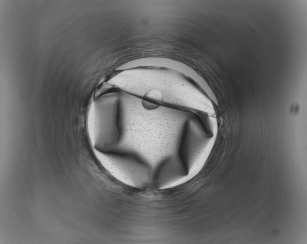 X0000110870284200907161445