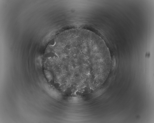 X0000110870286200907161445