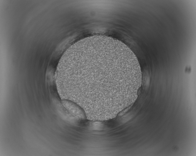 X0000110870287200907161445