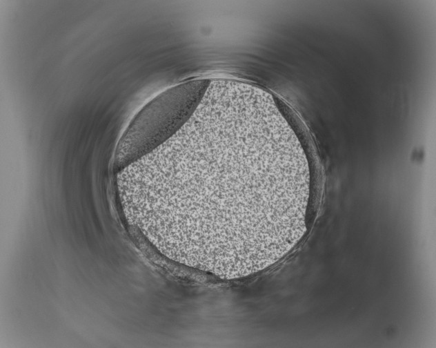 X0000110870289200907161445