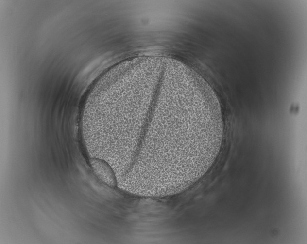 X0000110870290200907161445