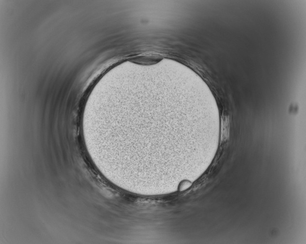 X0000110870291200907161445