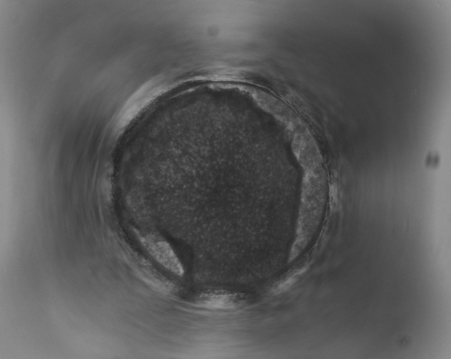 X0000110870295200907161445