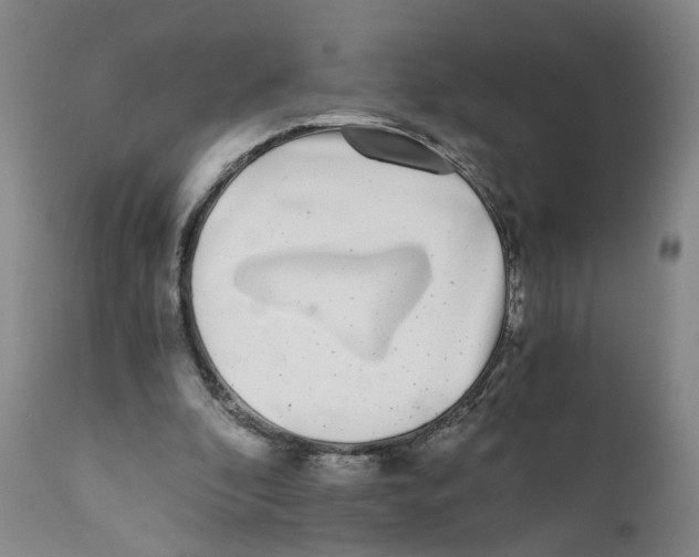 X0000110870296200907161445