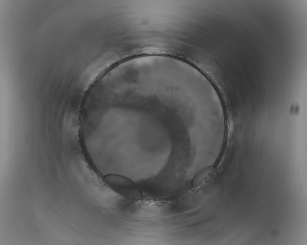 X0000110870297200907161445