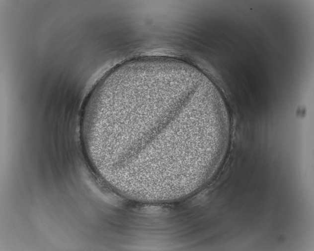 X0000110870298200907161444