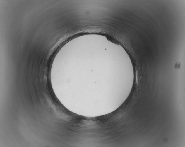 X0000110870300200907161444