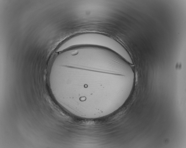 X0000110870301200907161444