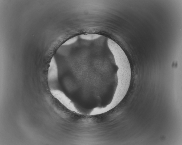 X0000110870307200907161444