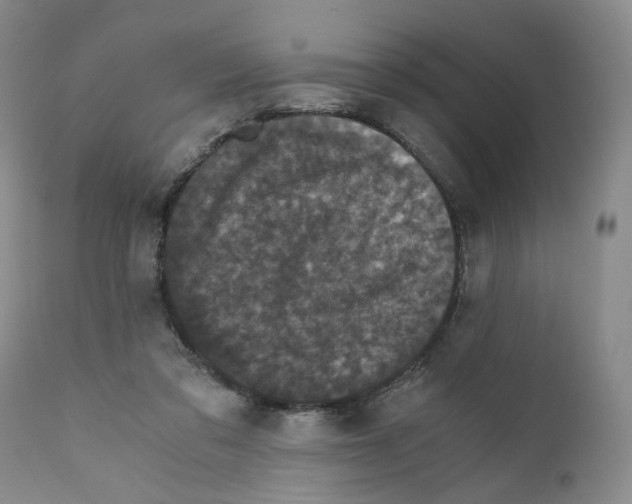 X0000110870309200907161444